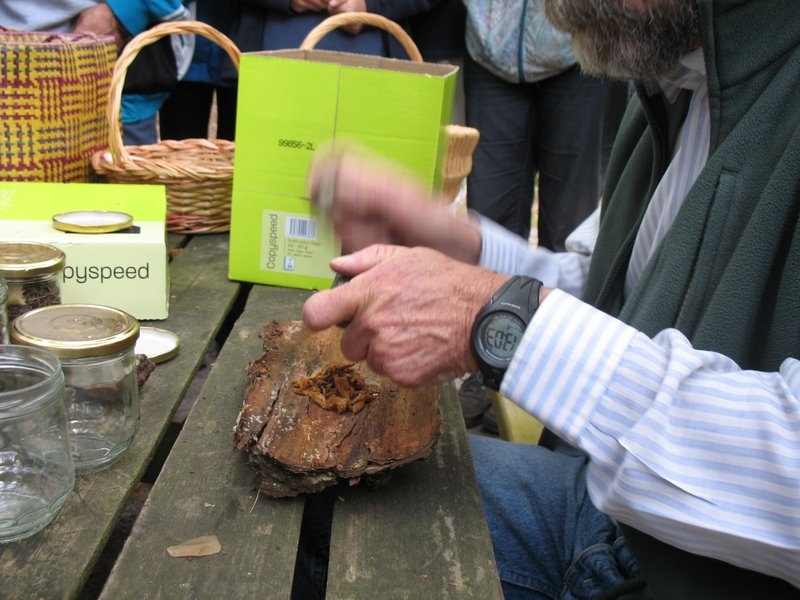 2007 09 Myco avec la SMF 15